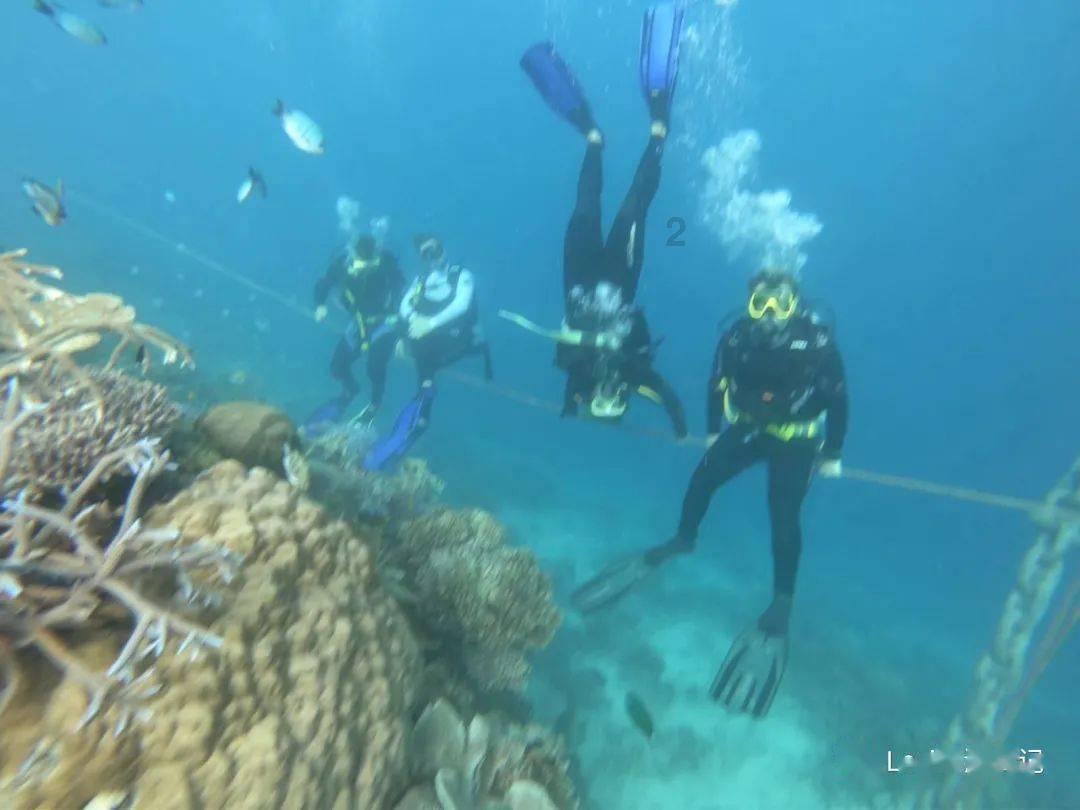 尽享如果开房会多久被传到网上,急急急知识星球,开启你的学习旅程